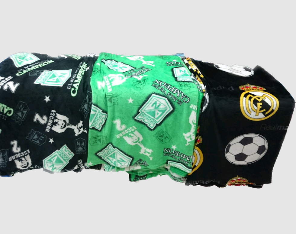 Miniatura: Cobijas Térmicas de equipos