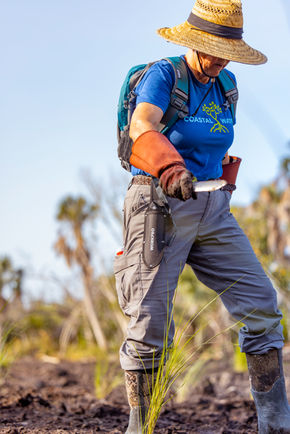 SA227247-Enhanced-NR-2