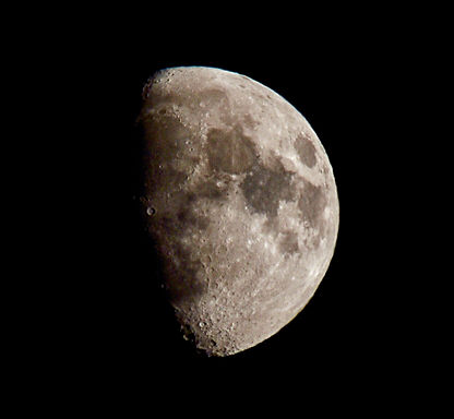 IMG_1179.jpg