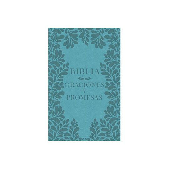 Biblia Oraciones Y Promesas Mujer