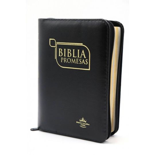 BIBLIA PROMESAS CIERRE NEGRO RVR60