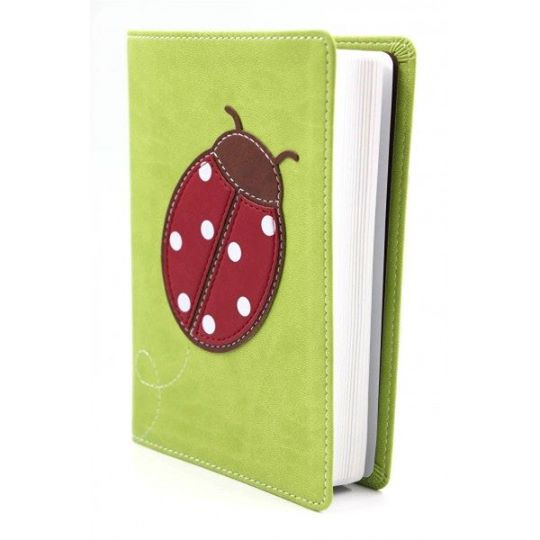 BIBLIA NVI COMPACTA CATARINA