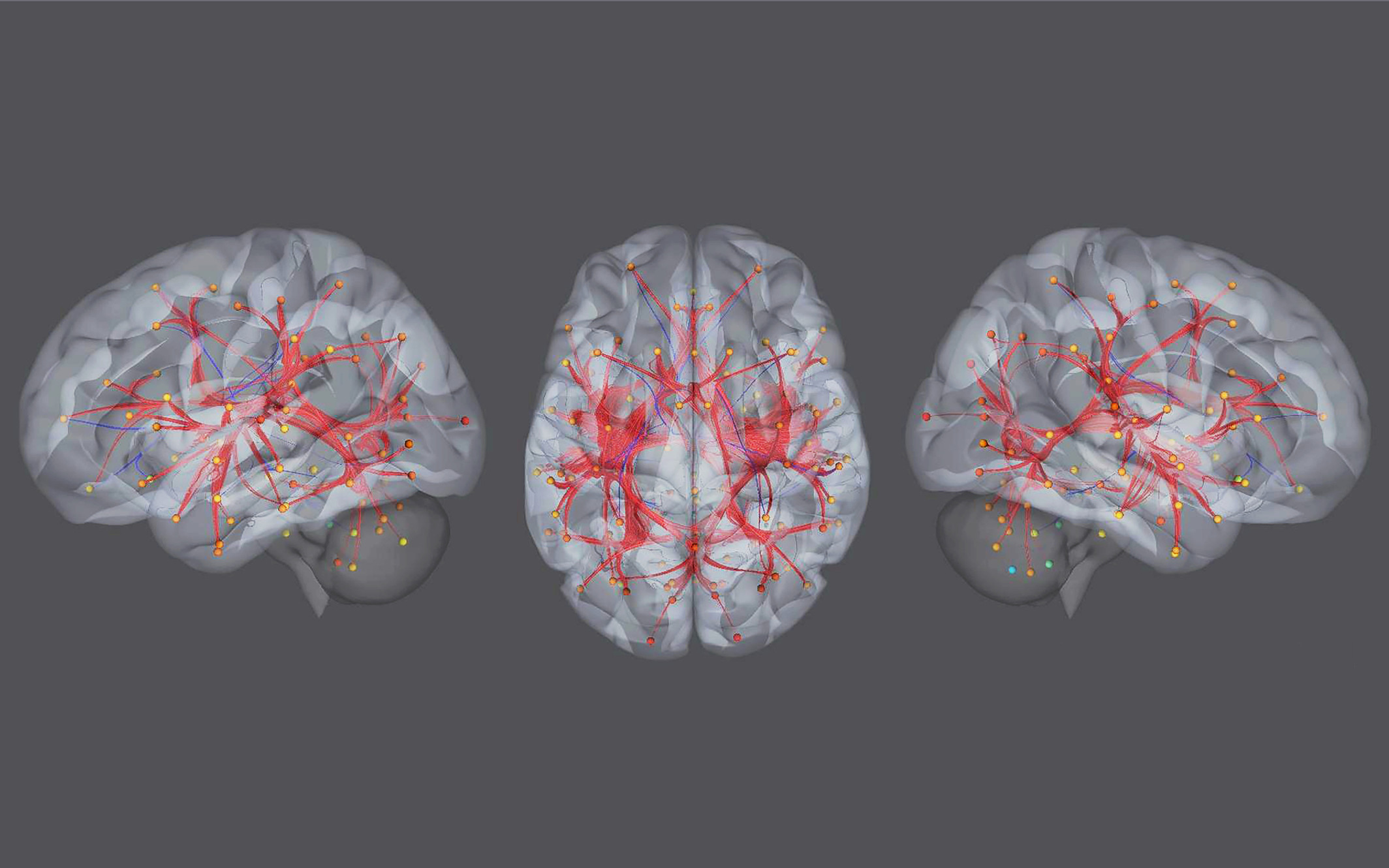 Neuroscience Lab Work Home | Clinical Neuroscience Lab