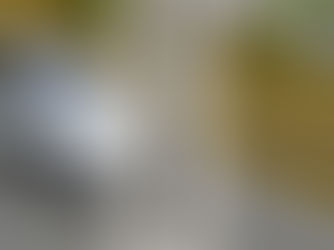 徳島で交通事故に遭われた方へ