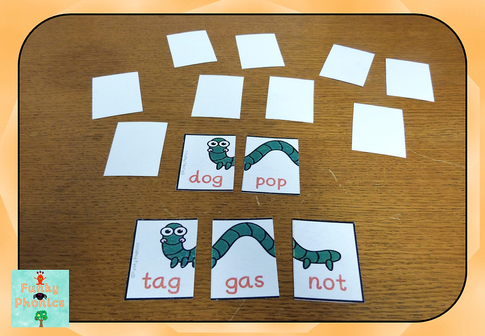 Thumbnail: Phase 2 Build a Bug