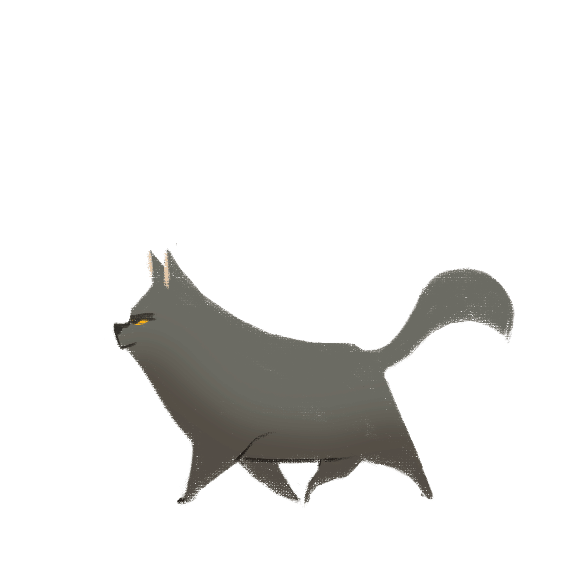 CAT.gif