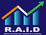 Logo raid