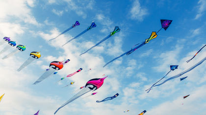 CHRISTINE POREBA | Wanting to Know Why