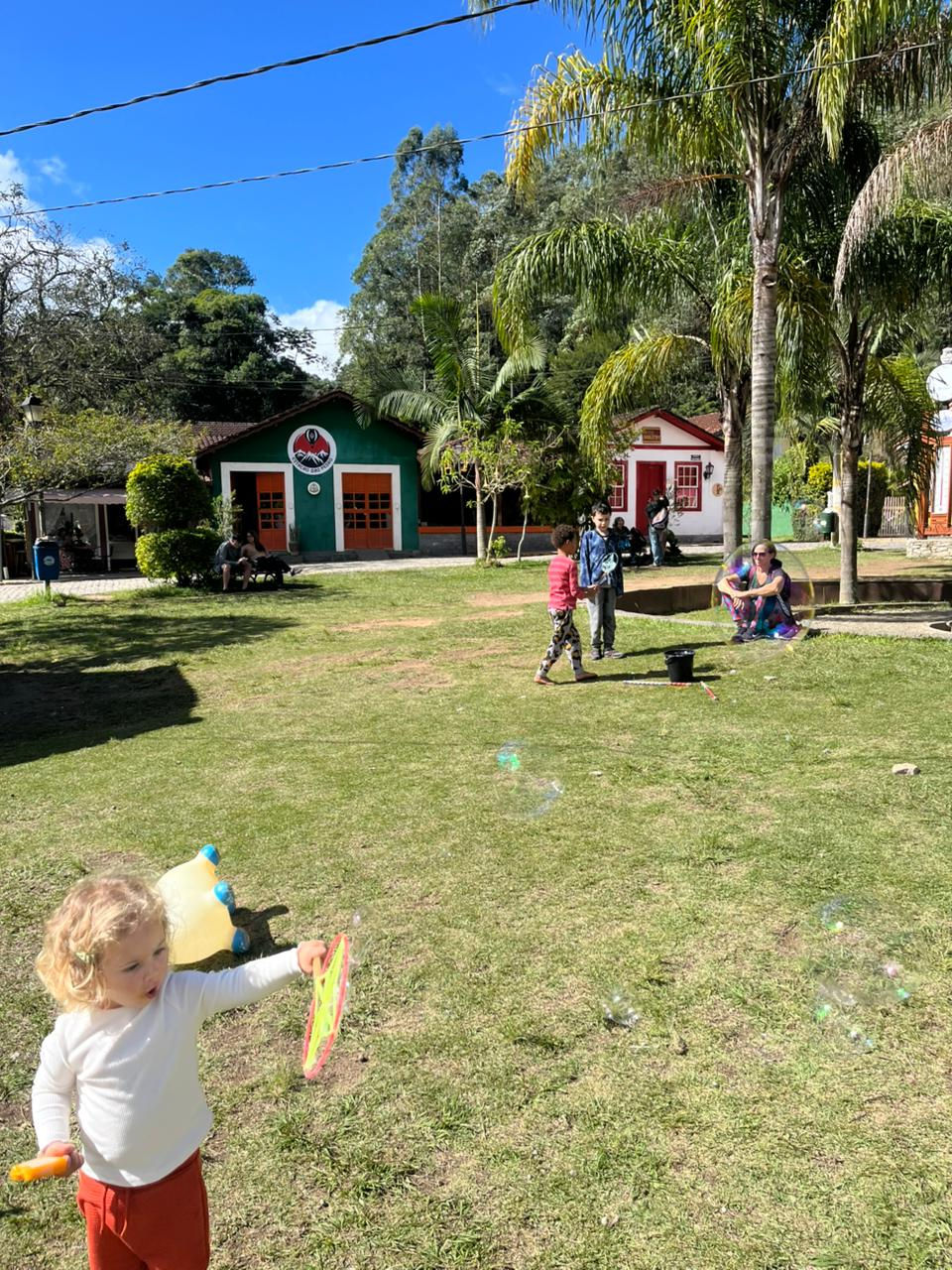 Crianças brincando com bolhas na grama em festa.