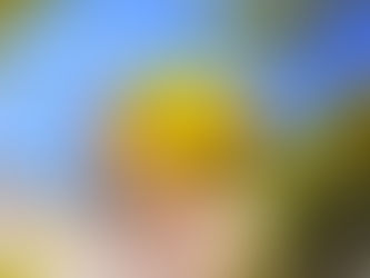 Aumento da felicidade pode ser um foco nas políticas públicas?