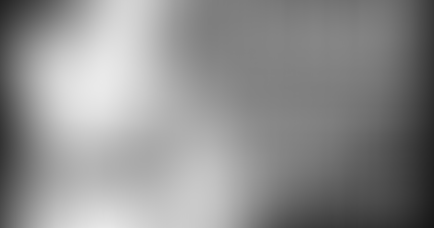 A SHUSH OF LIBRARIANS