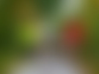 SUFFOLK HIT BY INFLATION AS ONE PENNY BECOMES FOUR PENNIES