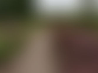 It's been a long road but...