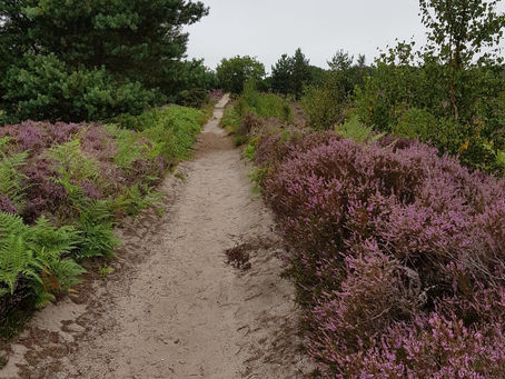 It's been a long road but...