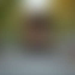 全面拆解香港大型垃圾清理收費