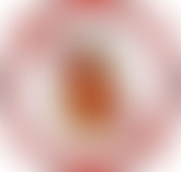 Winning the War Against Bed Bugs in Rowlett with Level Up Pest Control