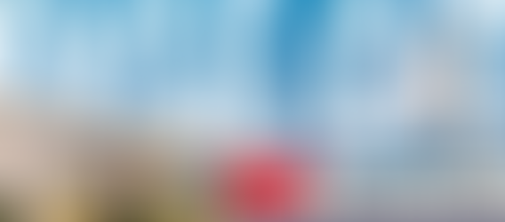 The Ultimate Guide to Pest-Proofing Your Home in Royse City