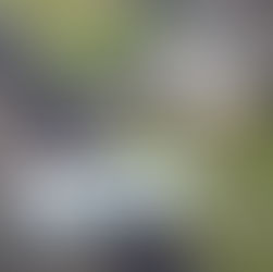 Using solar energy to pay teachers more?