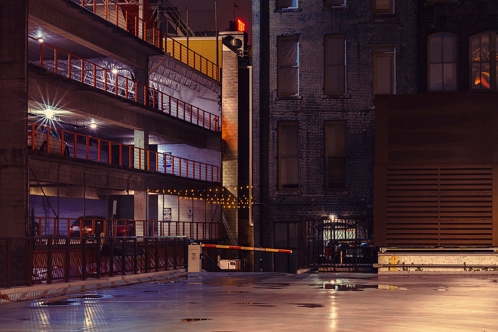 Dream Sequence Digital File