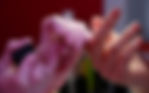 IMG_1082.jpeg