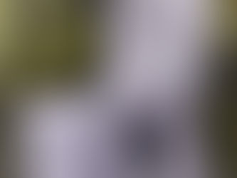 Meet the mascots for the 2019 Fall Product Program