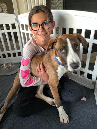 Girl Scouts hug their foster puppy