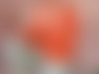 Volunteer Spotlight: Sandy Jackson