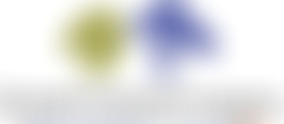 Inspiring Futures – Animal Welfare