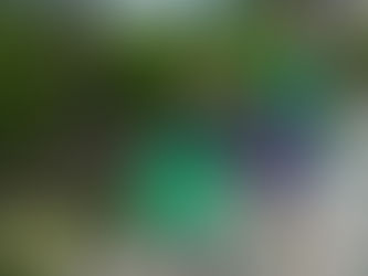 Celebrate Girl Scout Week: 7 Days of awesome