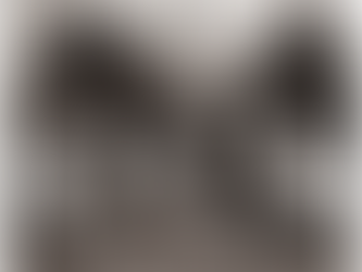 Join Miguel Dakota around the campfire at the Centennial Kickoff Celebration