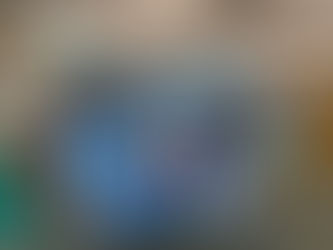 Kindergarten Daisies Sell 5000+ Boxes of Cookies