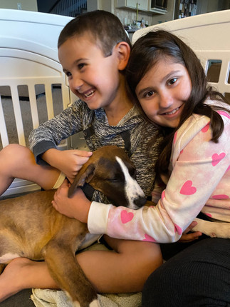Girl Scouts hug their foster puppy