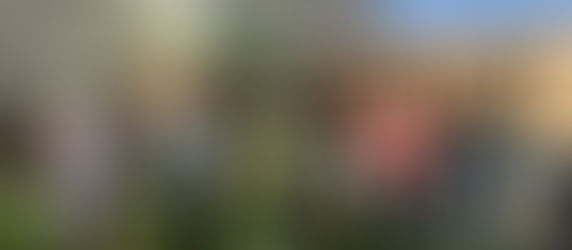 Troop 35 earns Bronze Award