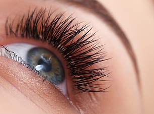 Hybrid Lashes