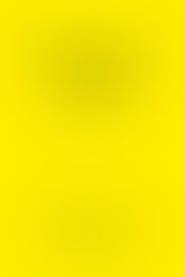 Derek Sivers: Hell Yeah or No | Rezension