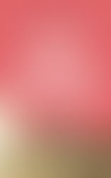 Ashley Audrain: Das Geflüster: Niemand hat es gesehen. Doch alle haben etwas gehört. | Rezension