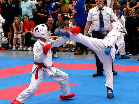 Erfolgreicher Internationaler Goju-Ryu Karate Cup 2026 in Lüdo