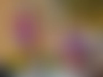 Damenpaar gewinnt Bronzemedaille beim Wartburg Cup