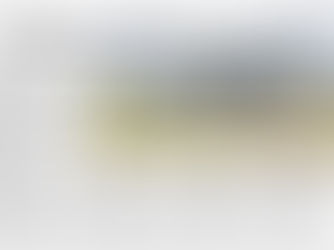 Local Media Coverage