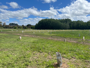 Progress in November