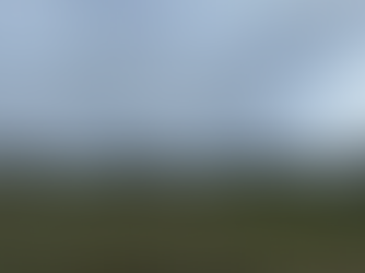 Winter Update – Looking Ahead to Spring at Mark’s Country Place