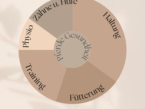 5 Säulen der Pferdegesundheit