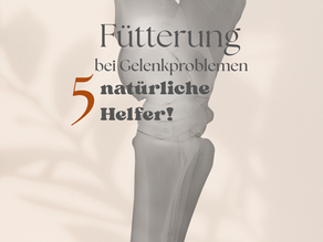 Fütterung bei Gelenkproblemen - 5 natürliche Helfer!