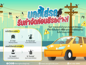 นกขี้ใส่รถ รีบกำจัดก่อนสีรถด่าง!