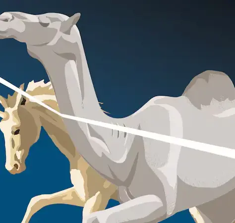 Middle East and African economies don't need more unicorns – they need camels