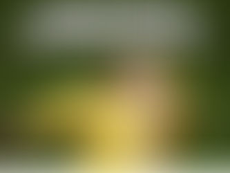 HCD & EVG Headlines 12-21-2022