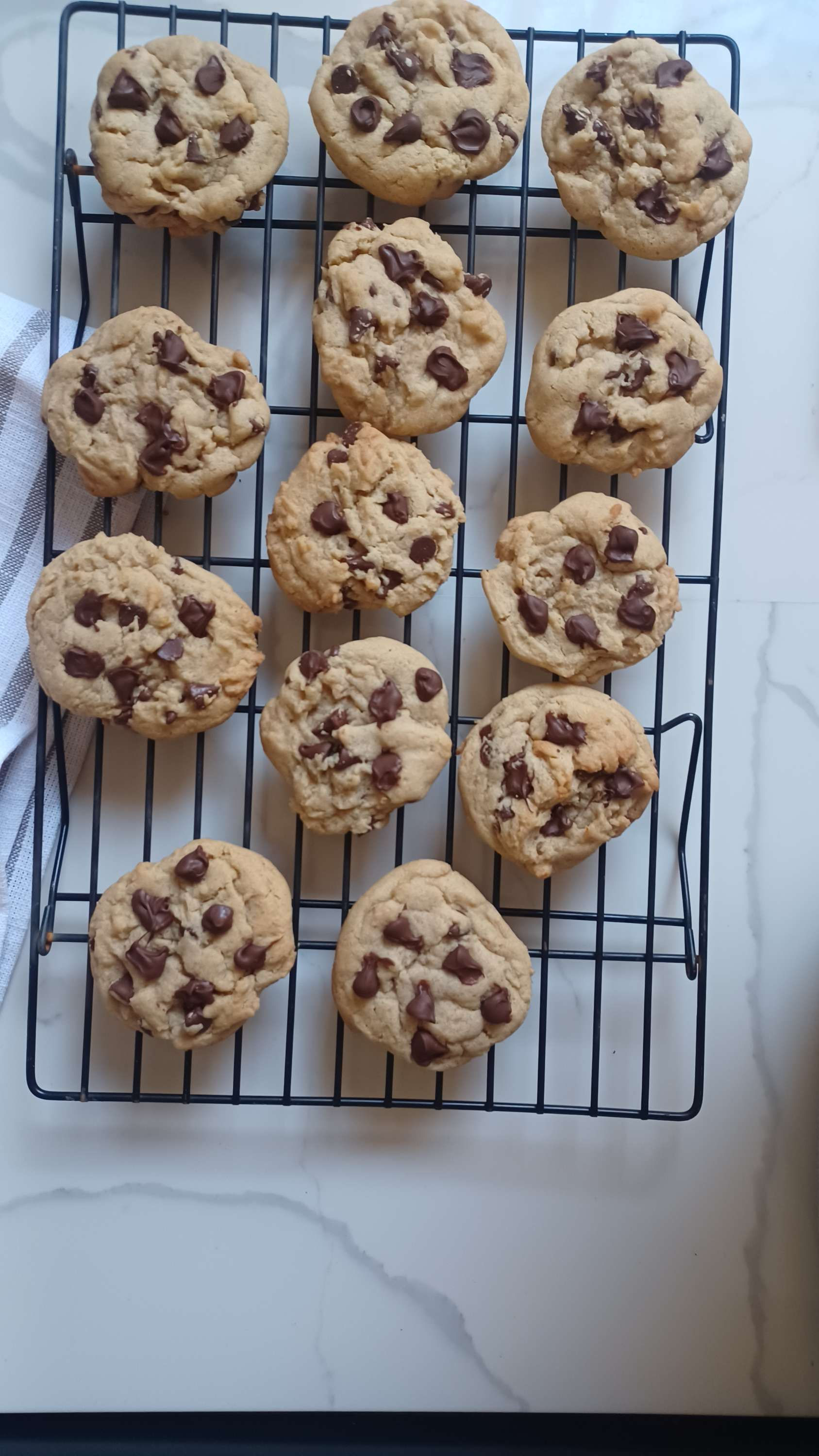 Chip Happens (Chocolate Chip)