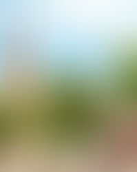 Langen Altstadtkirche