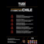 BECACIÓN DE TUDI CHILE