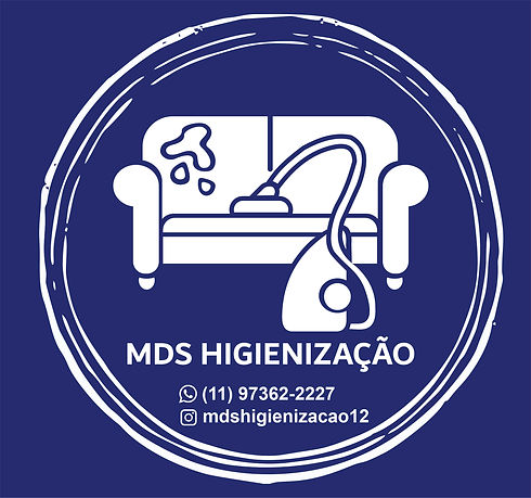MDS Logo.jpg